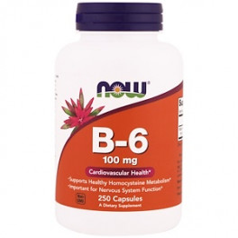 NOW B-6 100 mg 250 капс